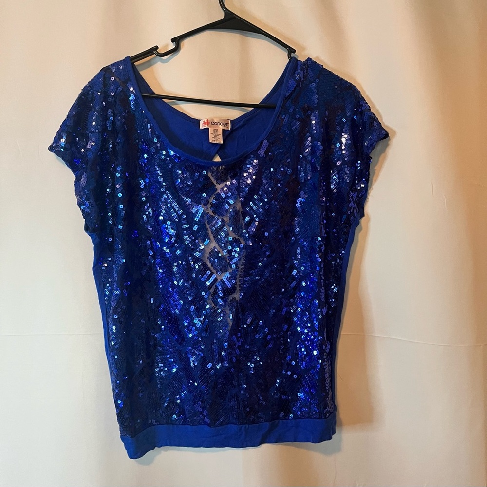 Dazzling Blue Sequin Blouse
